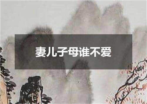 妻儿子母谁不爱