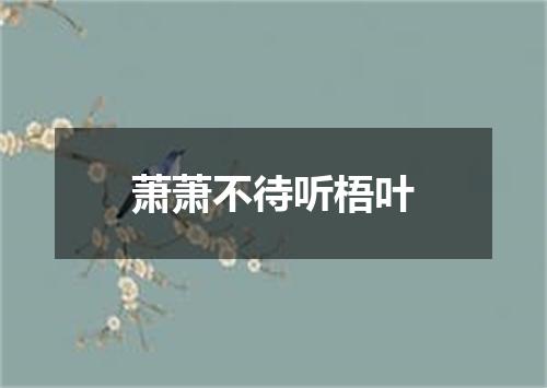 萧萧不待听梧叶