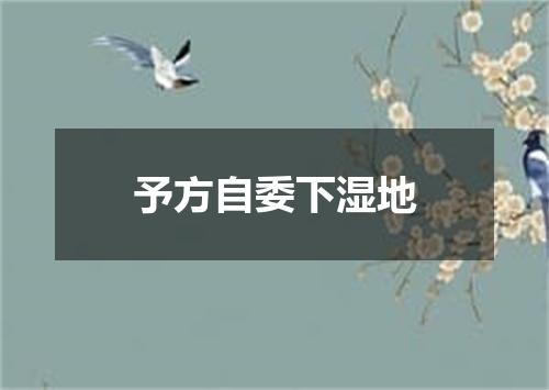 予方自委下湿地