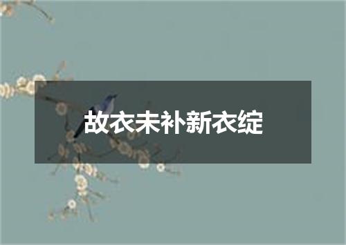 故衣未补新衣绽