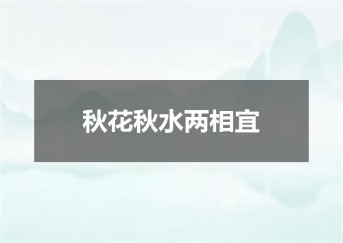 秋花秋水两相宜