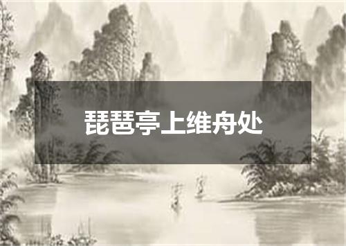 琵琶亭上维舟处