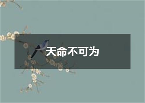 天命不可为