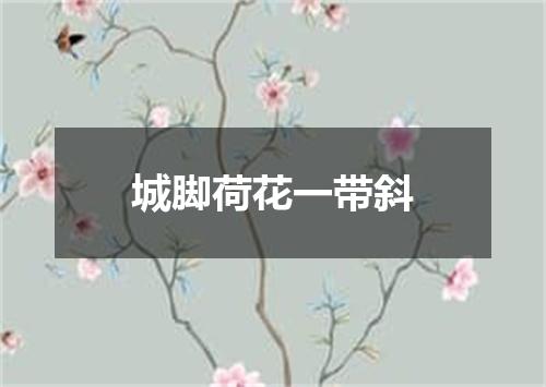 城脚荷花一带斜