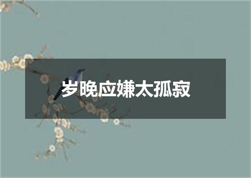 岁晚应嫌太孤寂