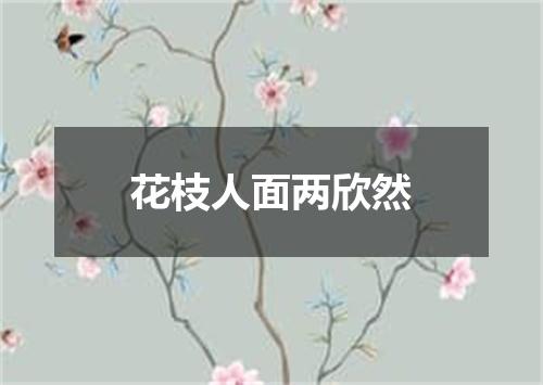 花枝人面两欣然