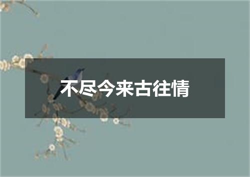 不尽今来古往情
