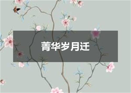 菁华岁月迁