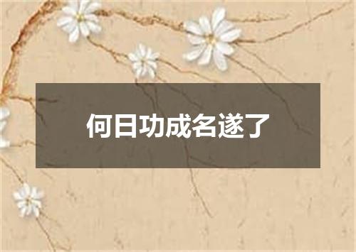 何日功成名遂了