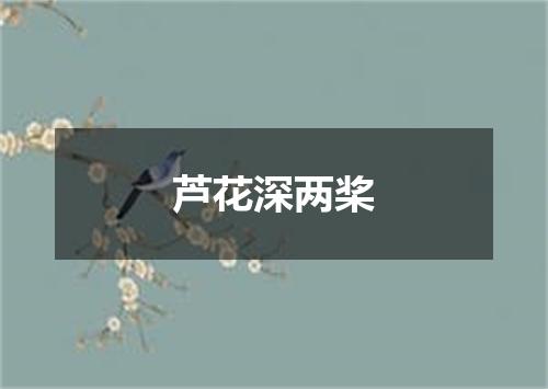 芦花深两桨