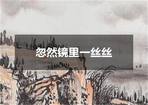 忽然镜里一丝丝