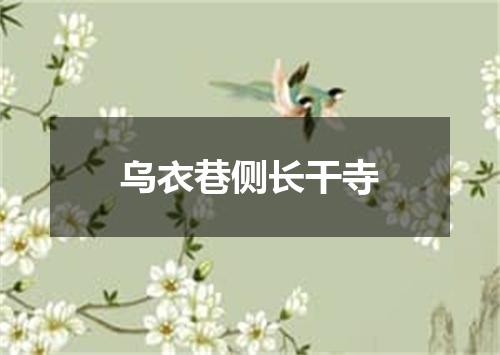 乌衣巷侧长干寺