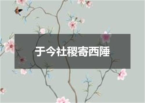 于今社稷寄西陲