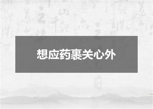 想应药裹关心外