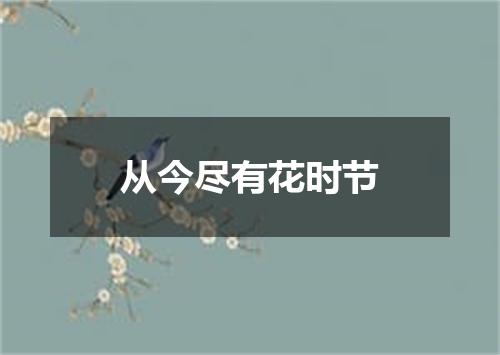 从今尽有花时节