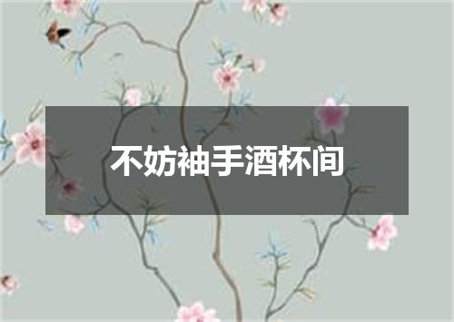 不妨袖手酒杯间