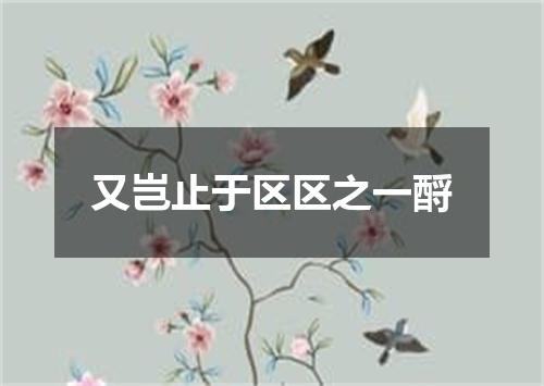 又岂止于区区之一酹