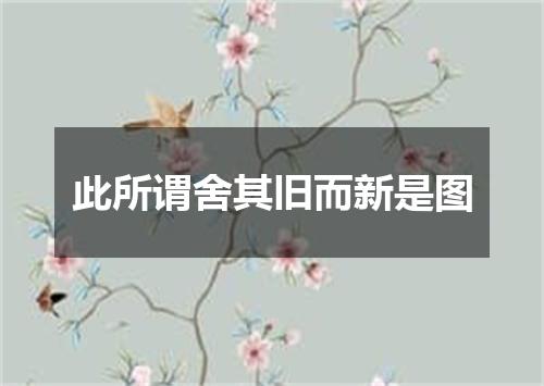 此所谓舍其旧而新是图