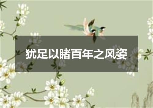 犹足以睹百年之风姿