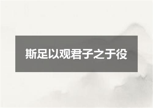 斯足以观君子之于役