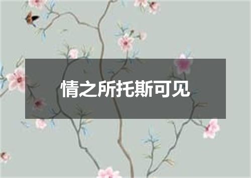 情之所托斯可见