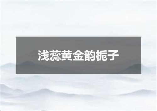 浅蕊黄金韵栀子