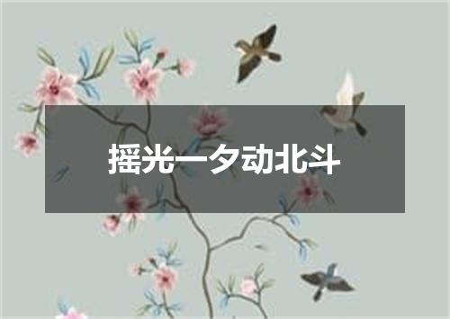 摇光一夕动北斗