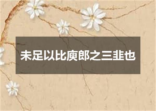 未足以比庾郎之三韭也