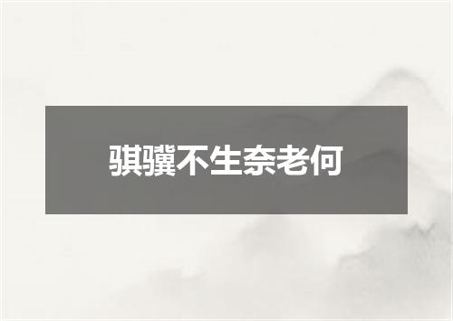 骐骥不生奈老何