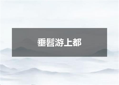 垂髫游上都