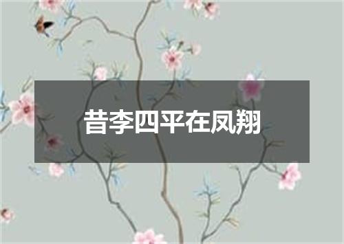 昔李四平在凤翔