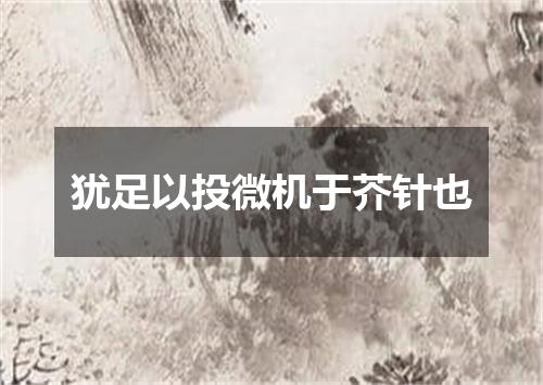 犹足以投微机于芥针也
