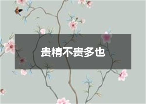 贵精不贵多也
