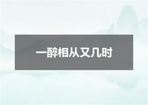一醉相从又几时