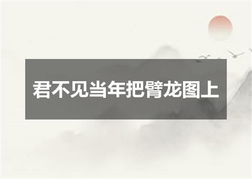 君不见当年把臂龙图上