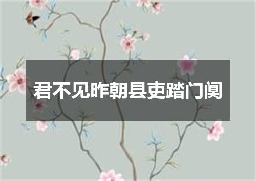 君不见昨朝县吏踏门阒
