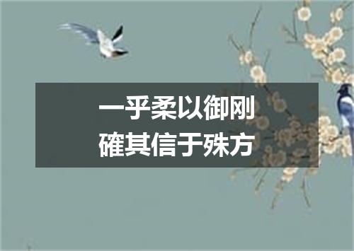 一乎柔以御刚確其信于殊方
