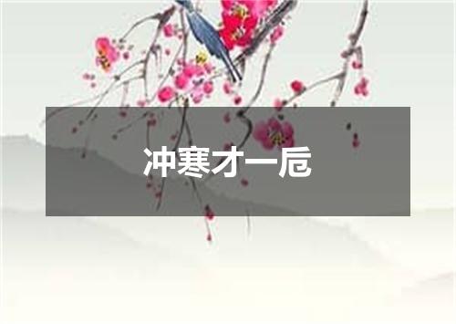 冲寒才一卮