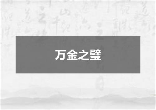 万金之璧
