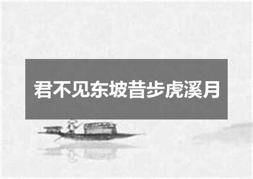 君不见东坡昔步虎溪月