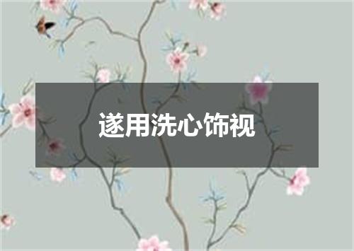 遂用洗心饰视
