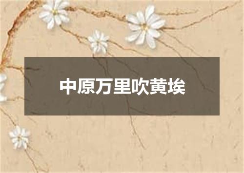 中原万里吹黄埃