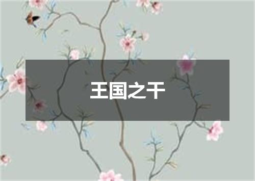 王国之干
