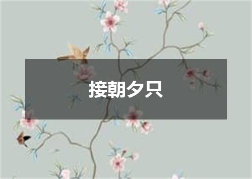 接朝夕只