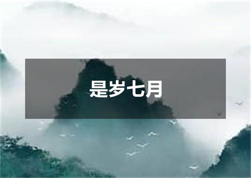 是岁七月