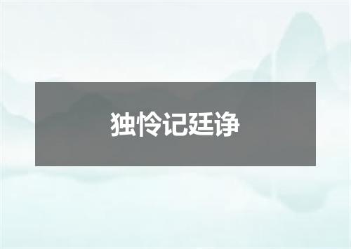 独怜记廷诤