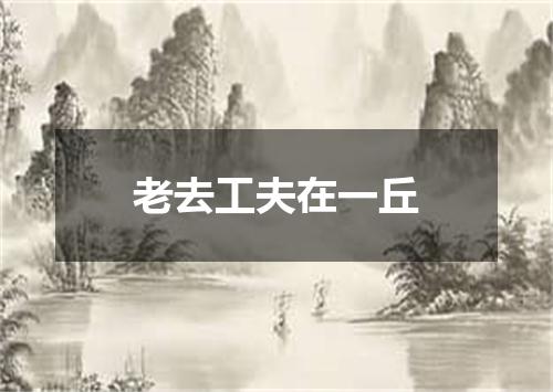 老去工夫在一丘
