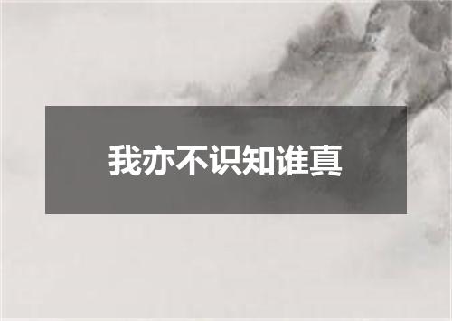 我亦不识知谁真
