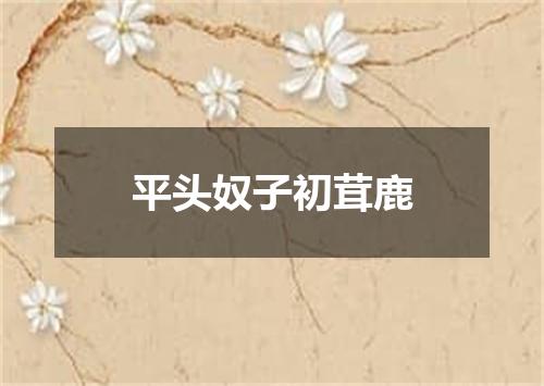 平头奴子初茸鹿