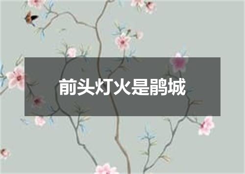 前头灯火是鹃城